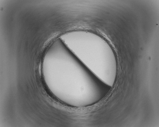 X0000067910019200604171350