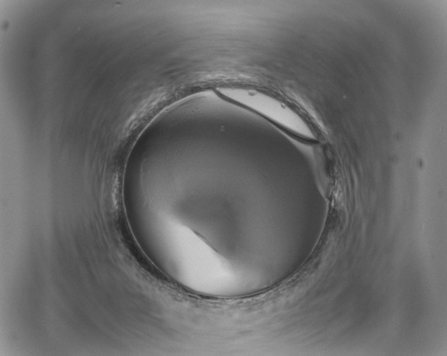 X0000067910023200604171350