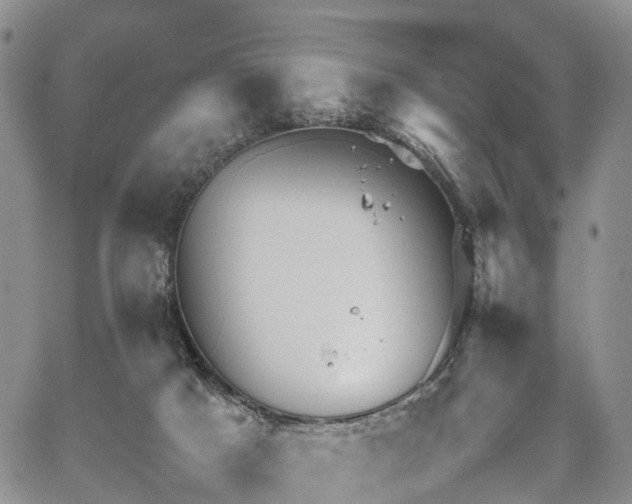 X0000067910025200604171350