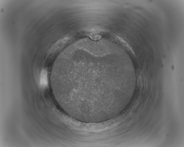 X0000067910026200604171350