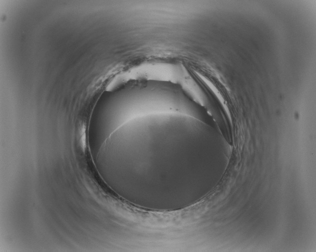 X0000067910027200604171350