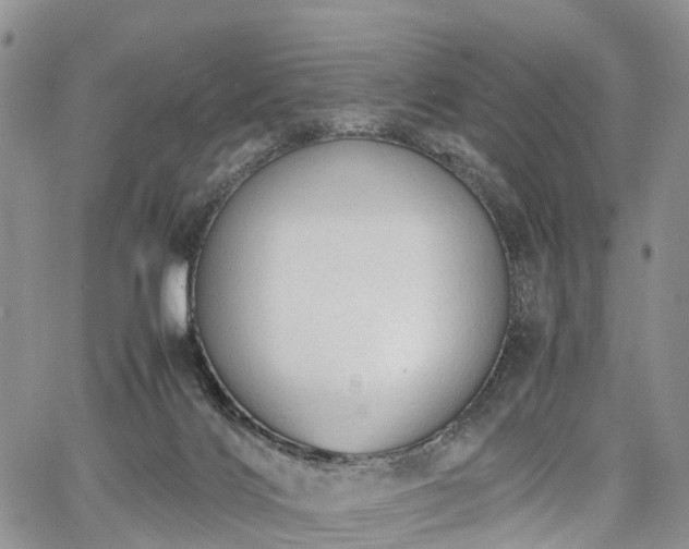 X0000067910028200604171350