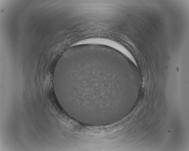 X0000067910029200604171350