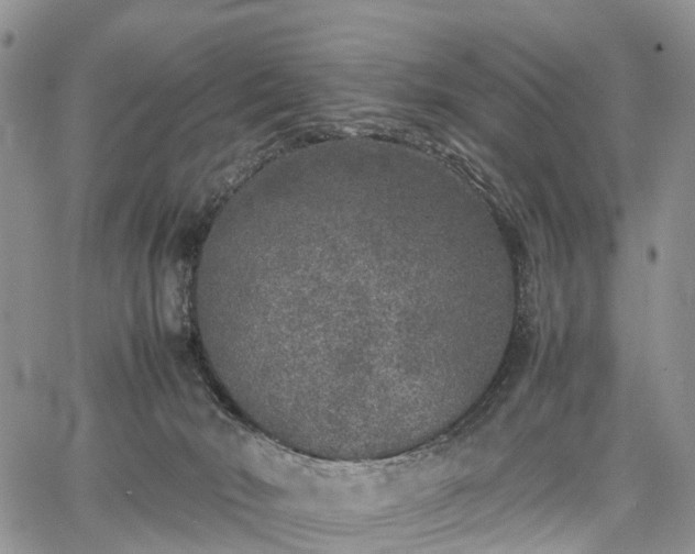 X0000067910030200604171350