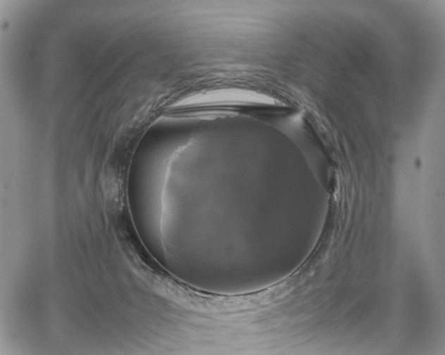 X0000067910031200604171350