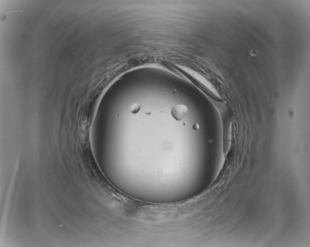 X0000067910033200604171350