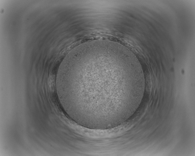 X0000067910034200604171350