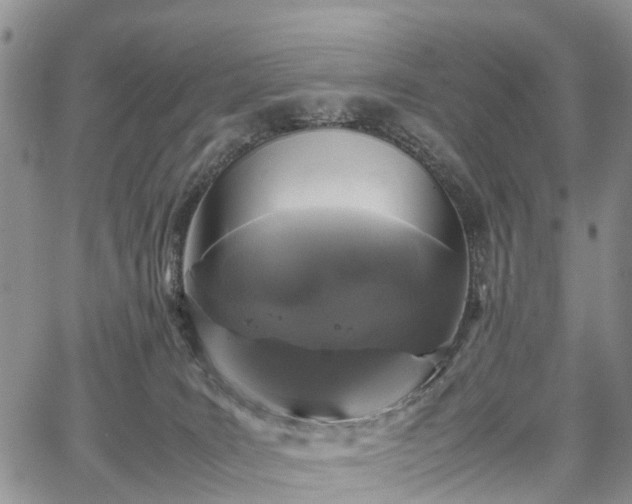 X0000067910035200604171350