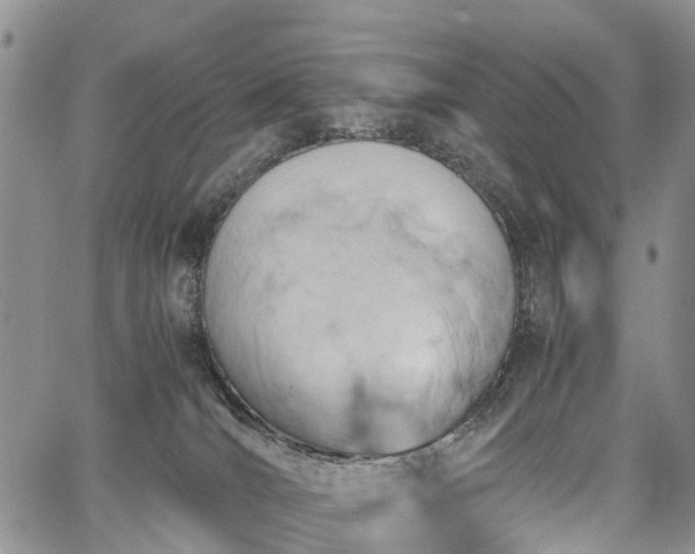 X0000067910036200604171350