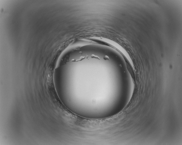 X0000067910037200604171350