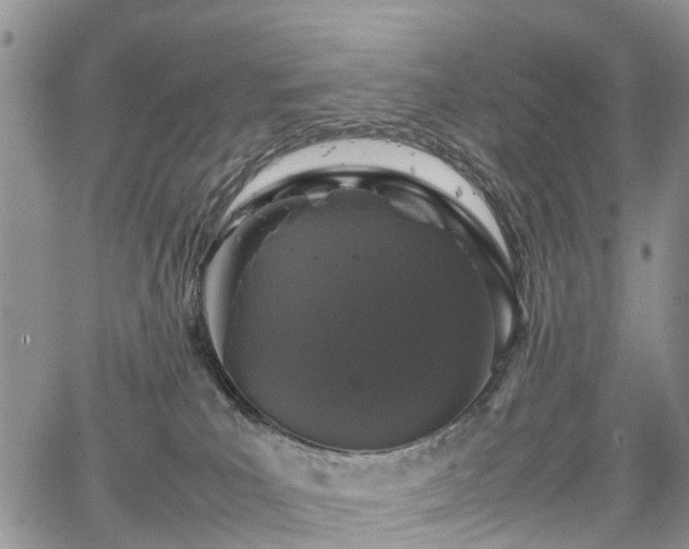 X0000067910039200604171350