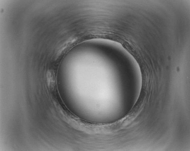 X0000067910040200604171350