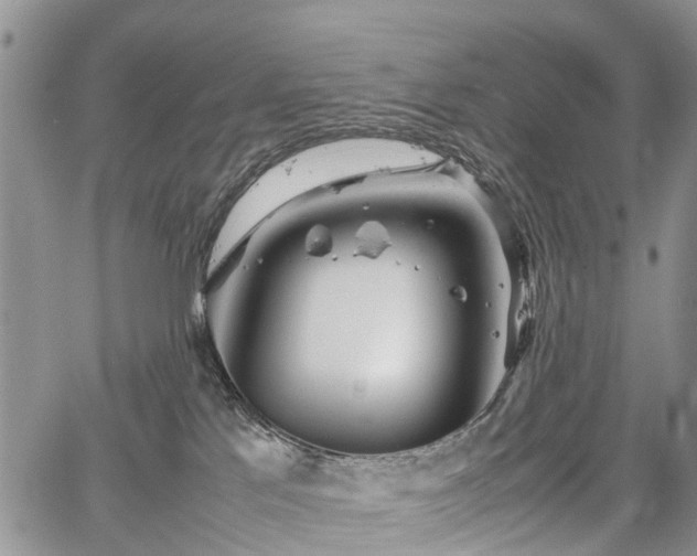 X0000067910041200604171349