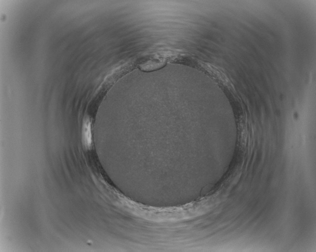 X0000067910042200604171349