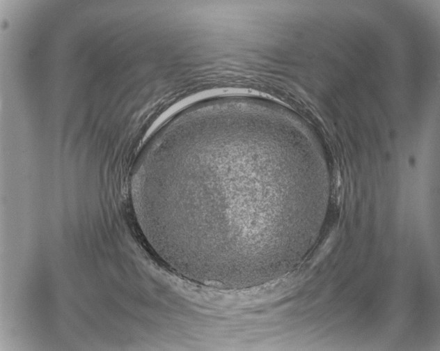 X0000067910043200604171349