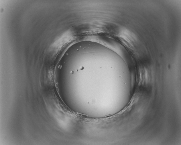 X0000067910045200604171349