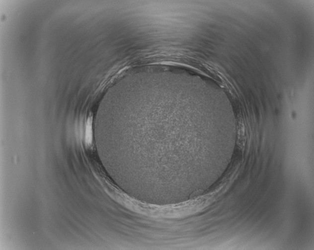 X0000067910046200604171349