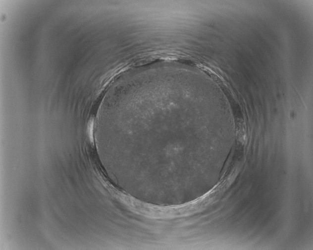 X0000067910047200604171349