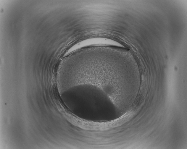 X0000067910048200604171349