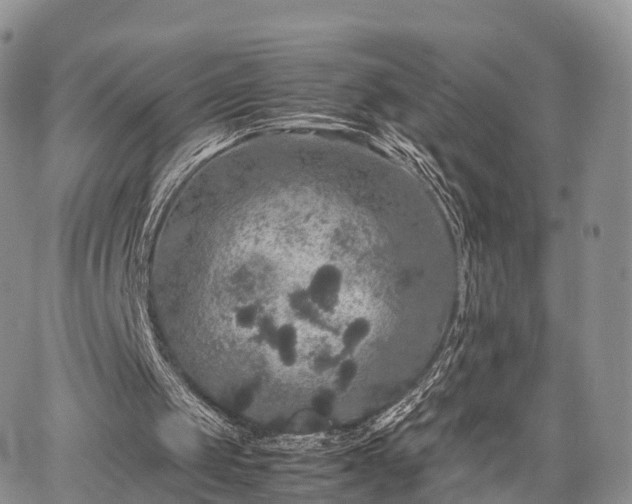 X0000067910049200604171349