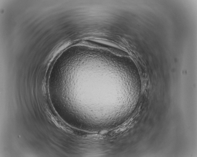 X0000067910050200604171349