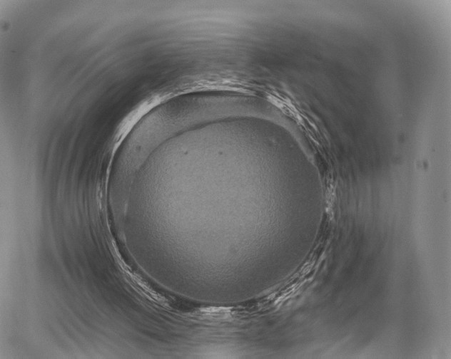 X0000067910052200604171349