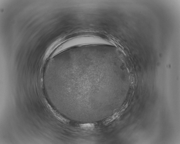 X0000067910053200604171349