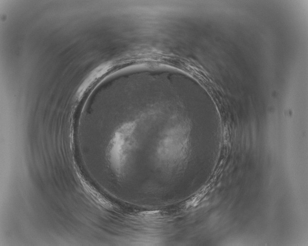 X0000067910054200604171349