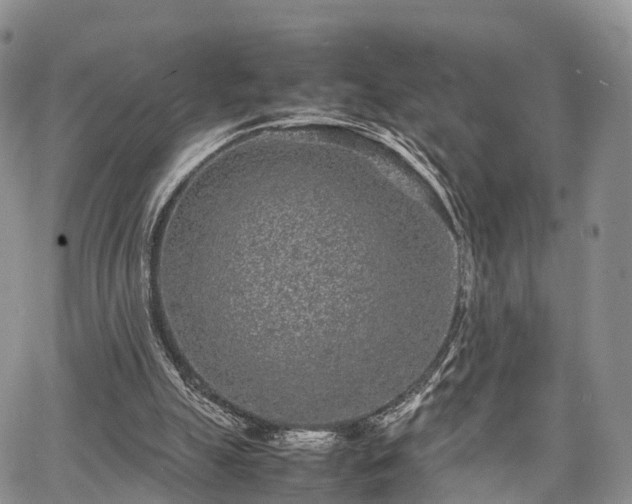 X0000067910055200604171349