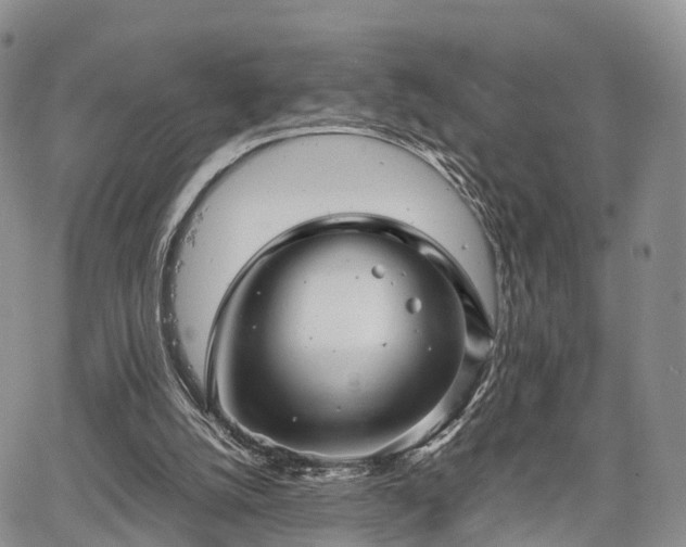 X0000067910056200604171349