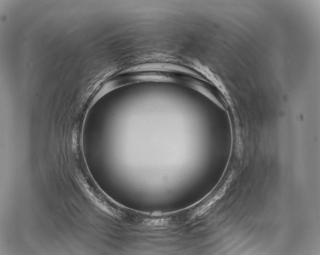 X0000067910057200604171349