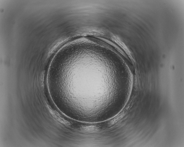 X0000067910058200604171349