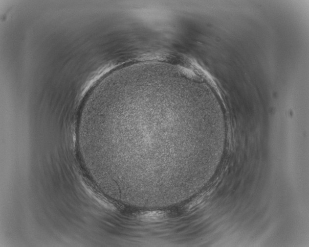 X0000067910059200604171349