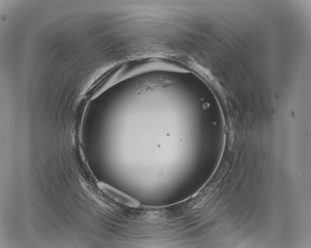 X0000067910060200604171349