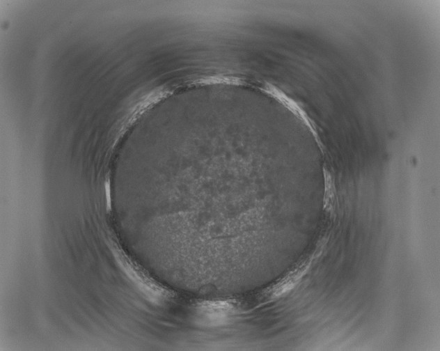 X0000067910061200604171349