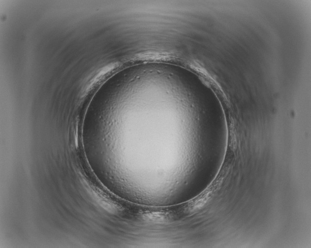 X0000067910062200604171349