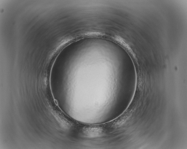 X0000067910063200604171349