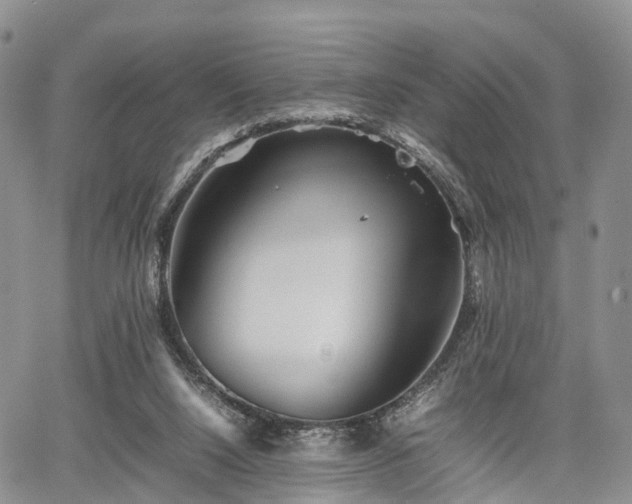 X0000067910064200604171349