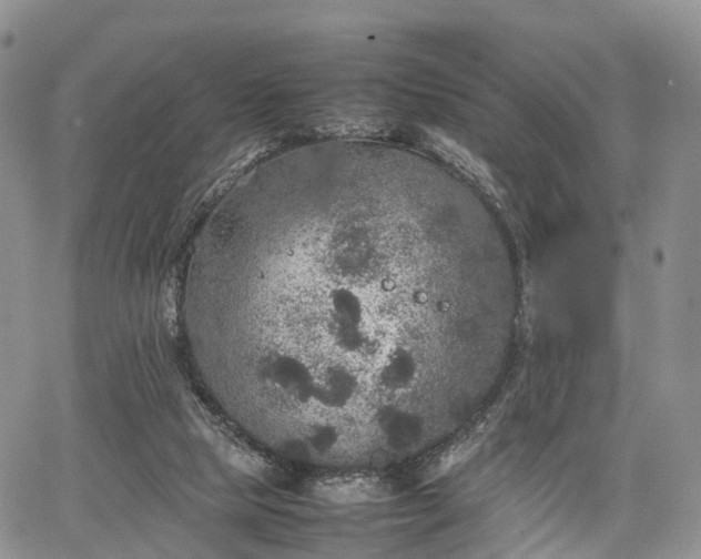 X0000067910065200604171349