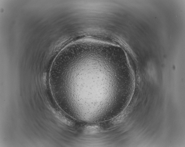 X0000067910066200604171349