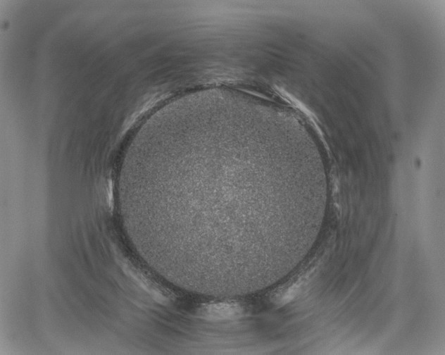 X0000067910067200604171349