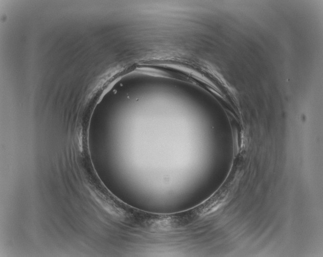 X0000067910068200604171349