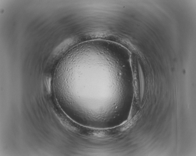 X0000067910070200604171349