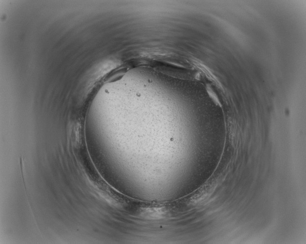 X0000067910071200604171349