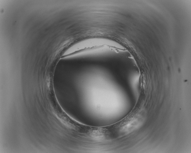 X0000067910072200604171349