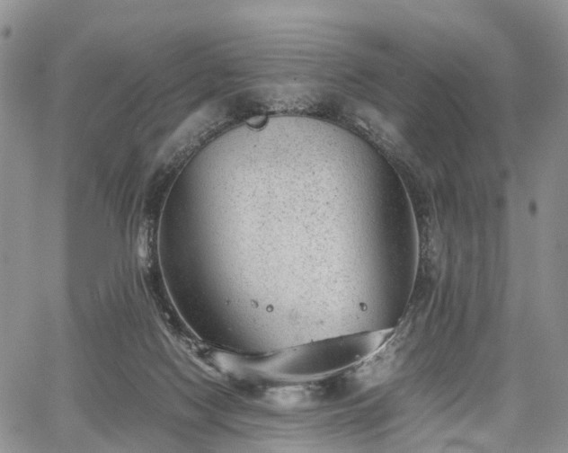 X0000067910074200604171349