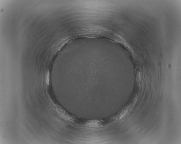 X0000067910076200604171349