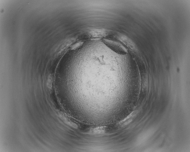 X0000067910078200604171349