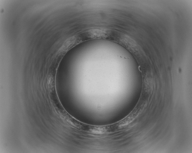 X0000067910079200604171349