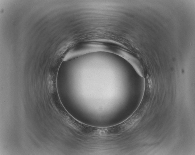 X0000067910080200604171349